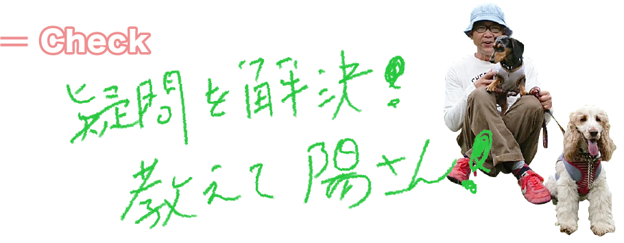 疑問を解決！教えて陽さん